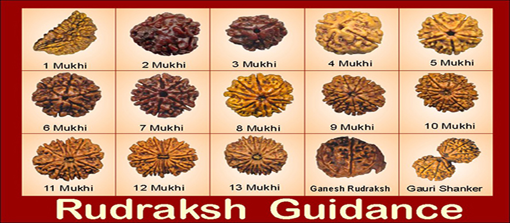 Vastu For Rudraksha