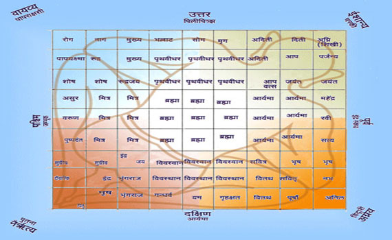 vastu for plant